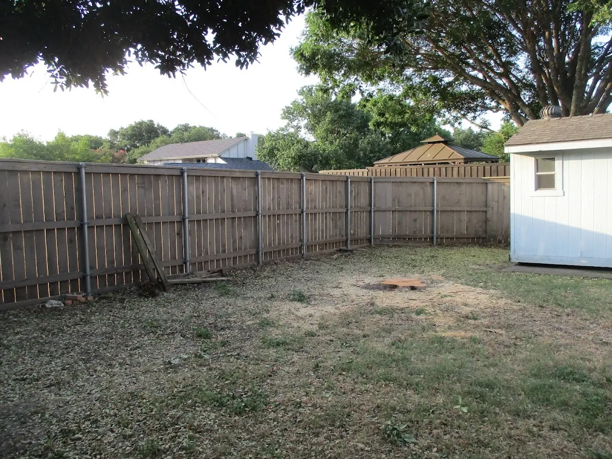 Cleared yard after professional tree removal in Meadows Of Dan